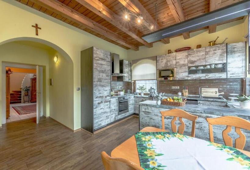 شقة ديلوكس غرفة واحدة, Penzion Na Hradčanech