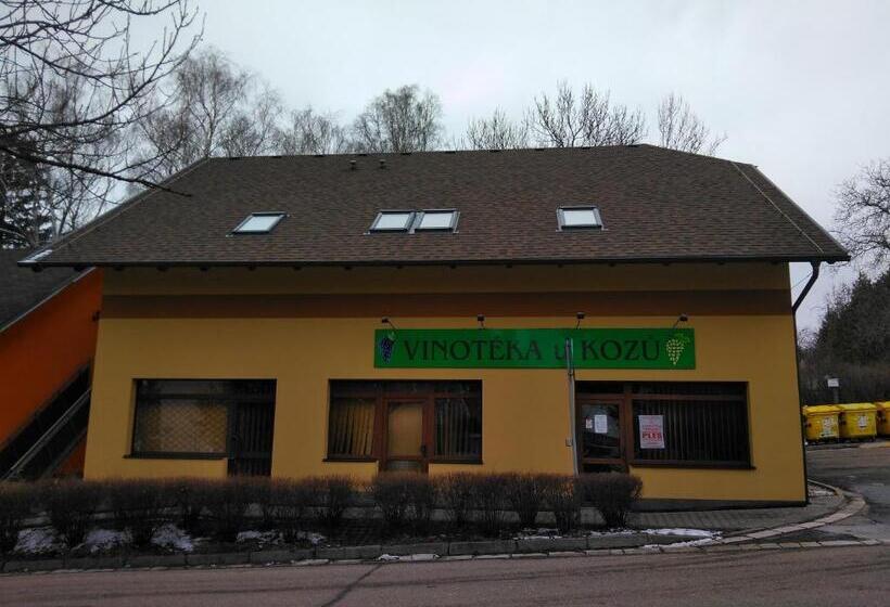 수피리어 싱글 룸, Vinotéka U Kozů