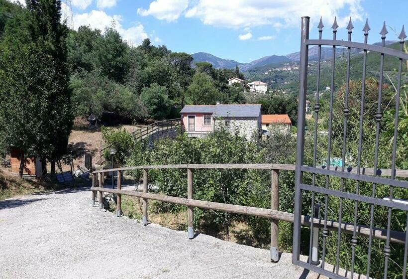 带大床的标准间, B&b Il Rustico