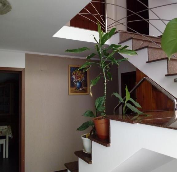 Quarto Familiar, Ibolya Imola