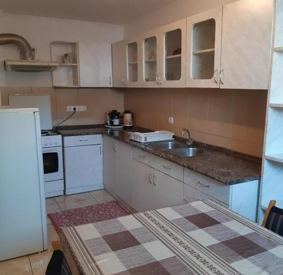 Quarto Familiar, Ibolya Imola