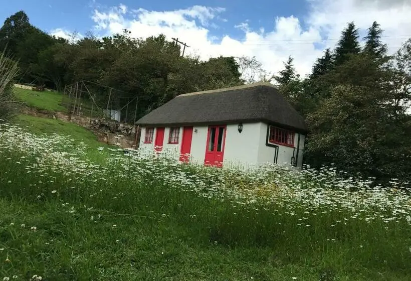 デラックスルーム, A Boat House