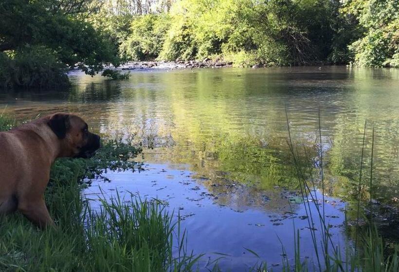 חדר דלוקס, A Boat House