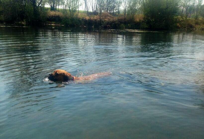 חדר דלוקס, A Boat House