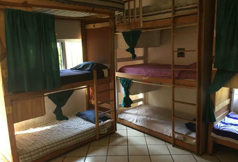 共用房间的床, Ekko Hostel