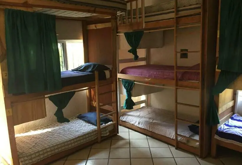 ルームシェアのワンベッド, Ekko Hostel