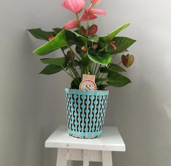 침실 1개 아파트, Il Giardino Di Sara