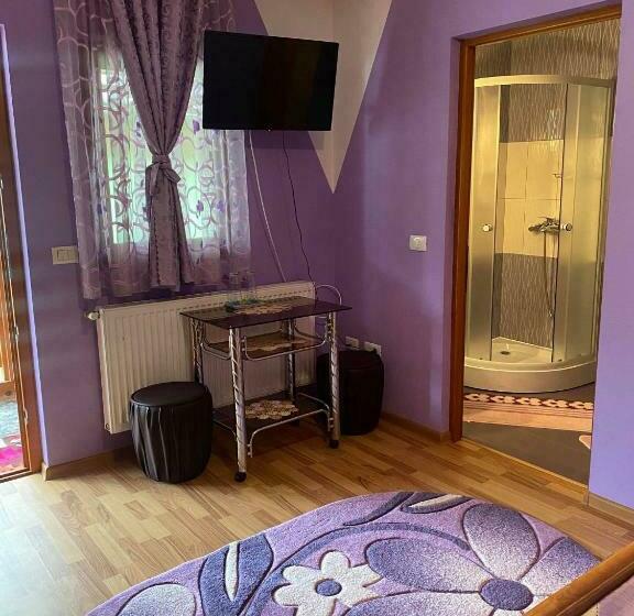 Номер Стандарт, Pensiunea Ioana Mariana