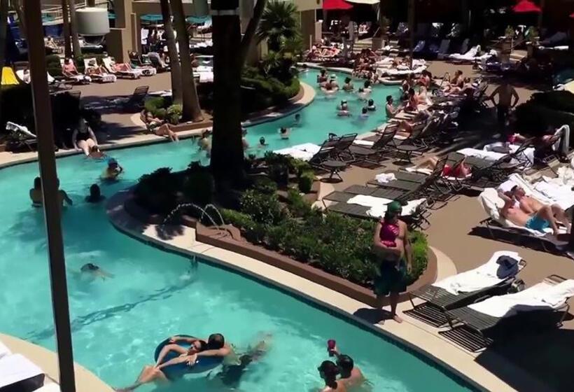 דירה בת חדר שינה 1 עם מרפסת, Mgm Signature