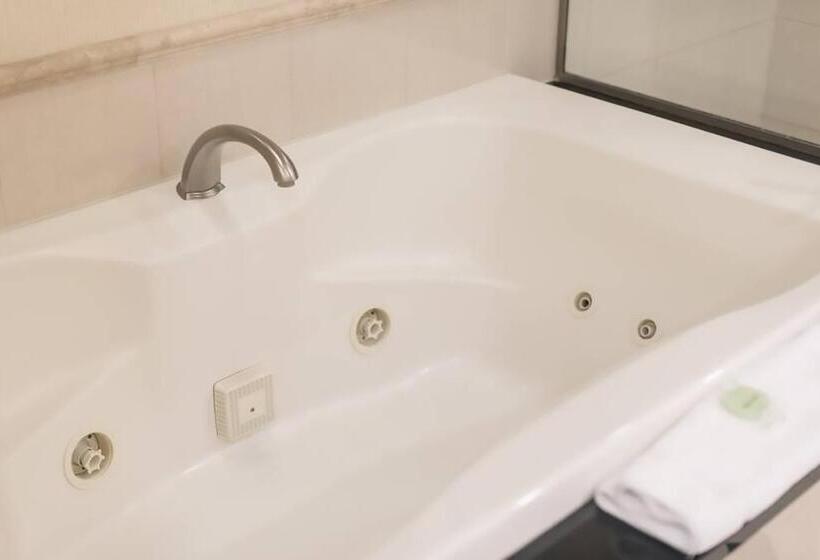 דירה בת חדר שינה 1 עם מרפסת, Mgm Signature