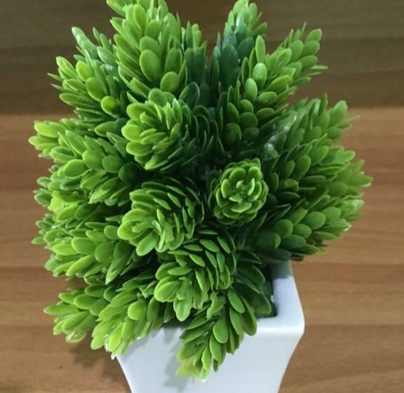 اتاق لوکس, Roos Guesthouse