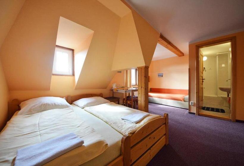 חדר סטנדרט לשלושה, Pension Centrum