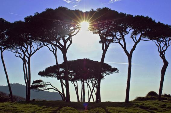 Дом 2 Спальни, Agriturismo Val Di Sterza