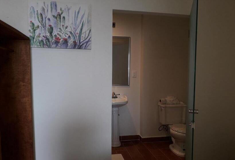 スタンダードトリプルルーム, Purisima Concepción