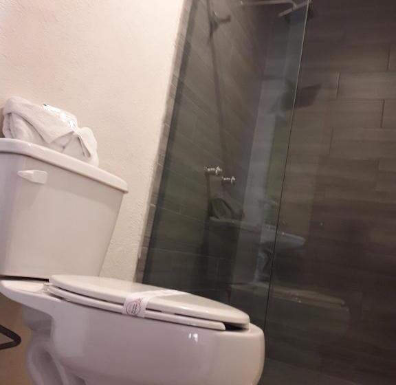 スタンダードルーム, Purisima Concepción