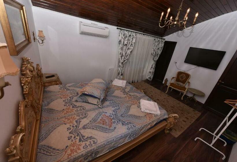 סוויטה, Casa Andrei