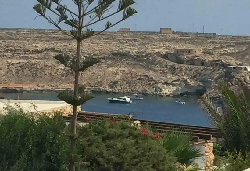 اتاق لوکس, Casa Tortuca