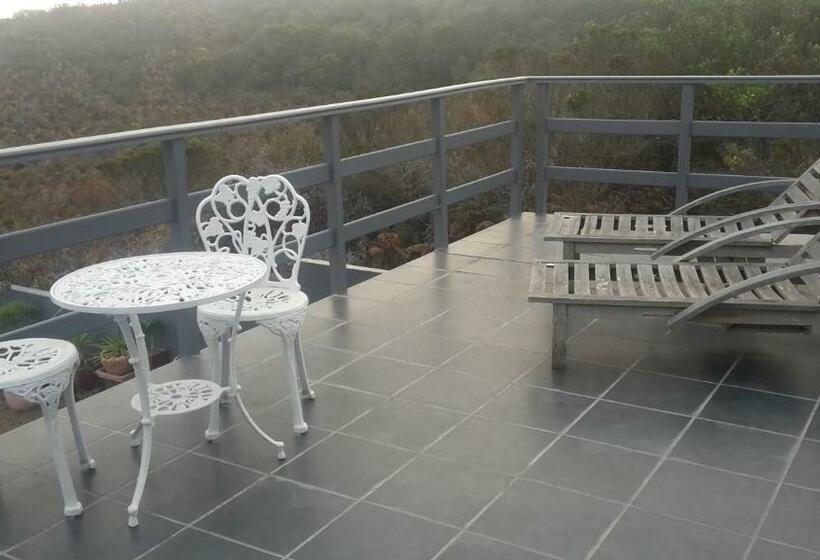 اتاق استاندارد با تخت بزرگ, Pezula Golf House