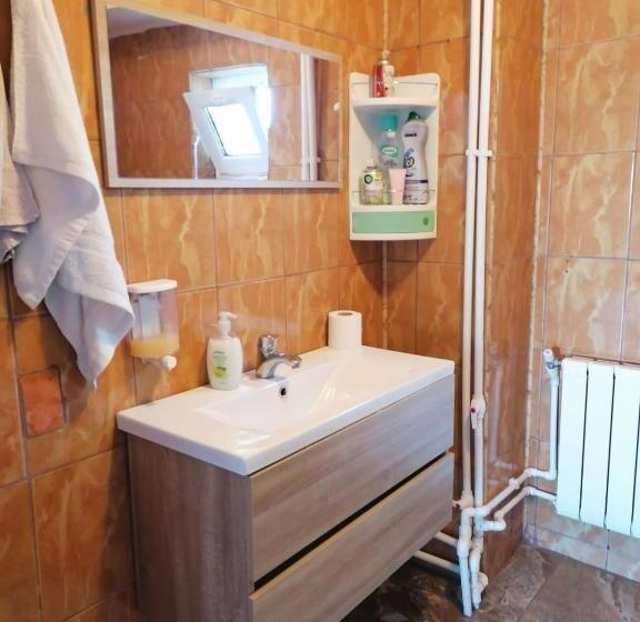 غرفة قياسية حمام مشترك, Vila Didi, Mangalia