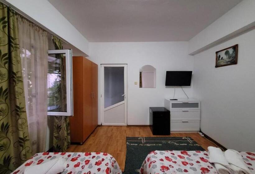 غرفة قياسية ثلاثية حمام مشترك, Vila Didi, Mangalia