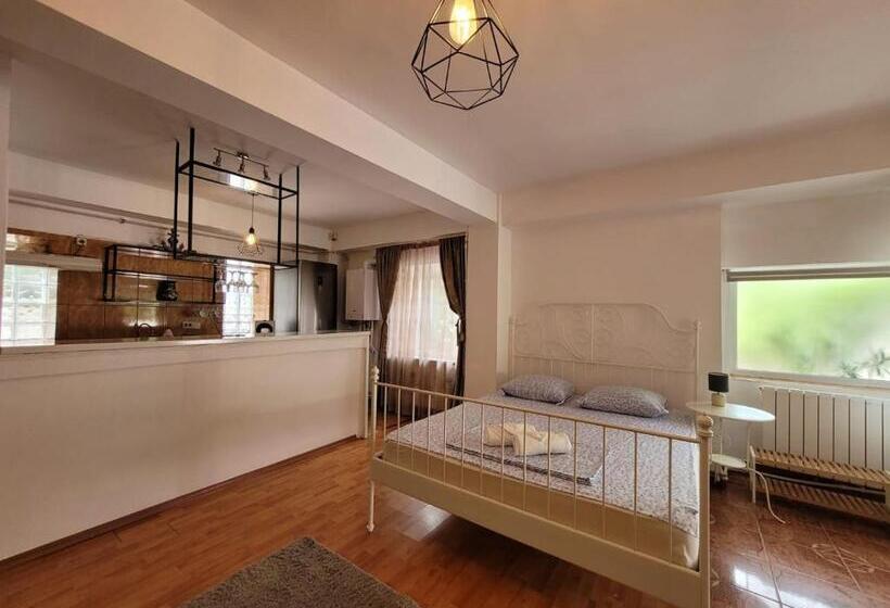 إستديو عائلى, Vila Didi, Mangalia