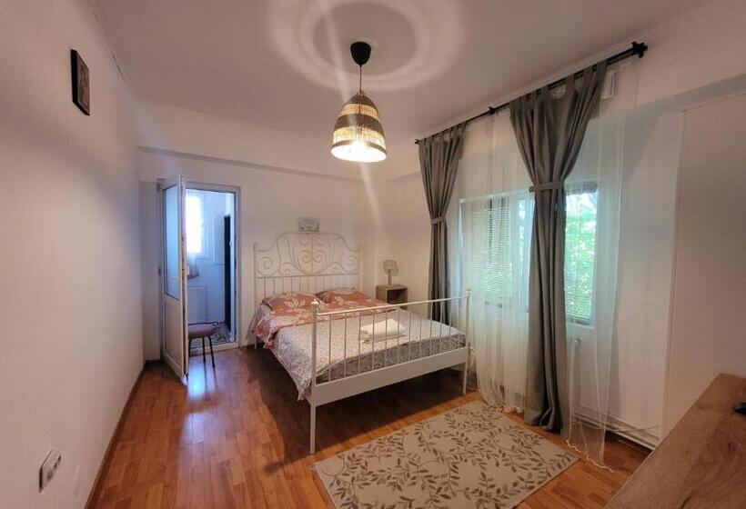 غرفة قياسية, Vila Didi, Mangalia