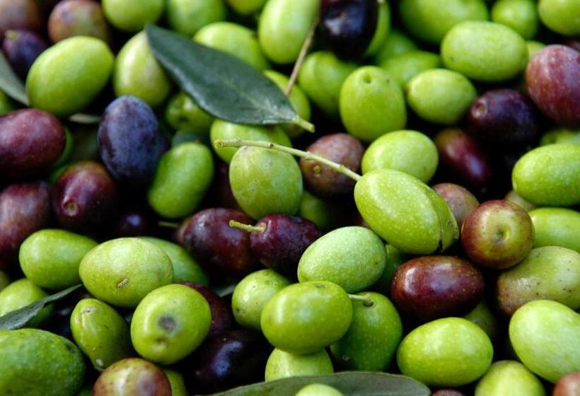 חדר סטנדרט, B&b Baciami Ancora