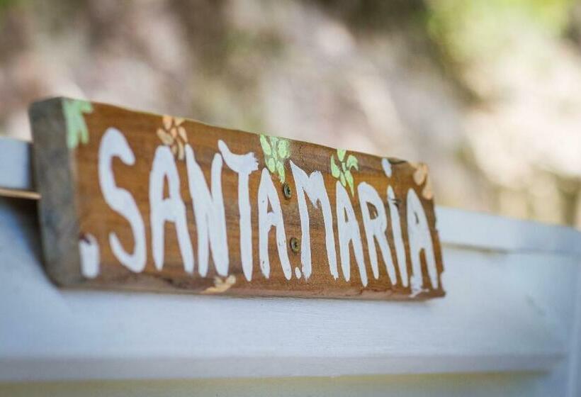 חדר סטנדרט נוף לים, Carre Royal