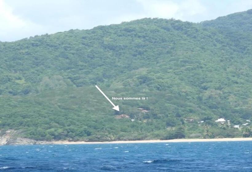 חדר סטנדרט נוף לים, Carre Royal