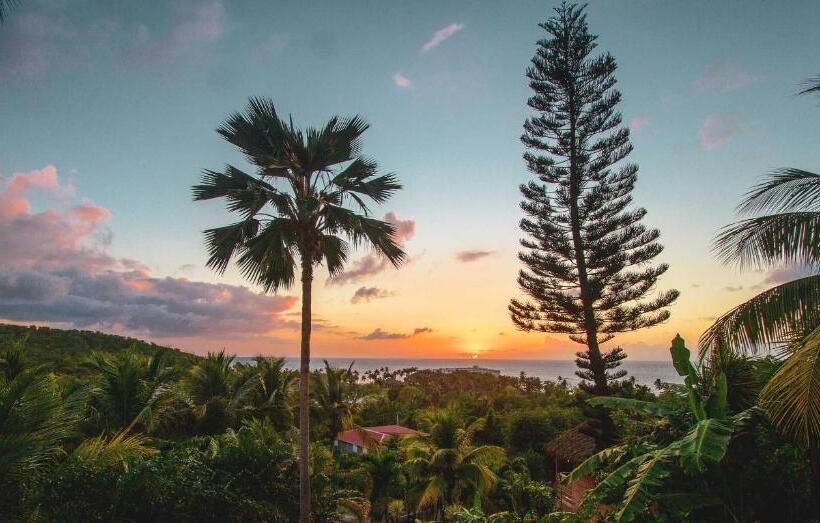 חדר סטנדרט נוף לים, Carre Royal