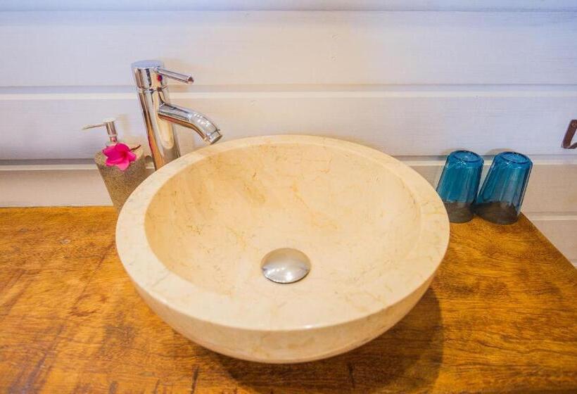 דירת חדר עם טרסה, Carre Royal