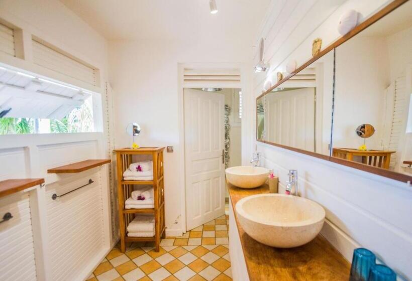 דירת חדר עם טרסה, Carre Royal