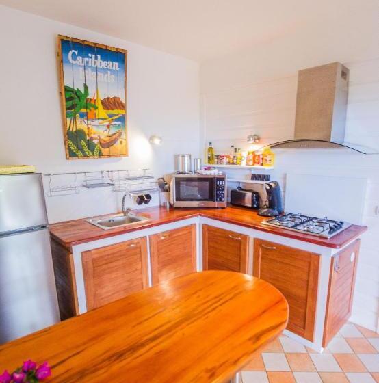 דירת חדר עם טרסה, Carre Royal