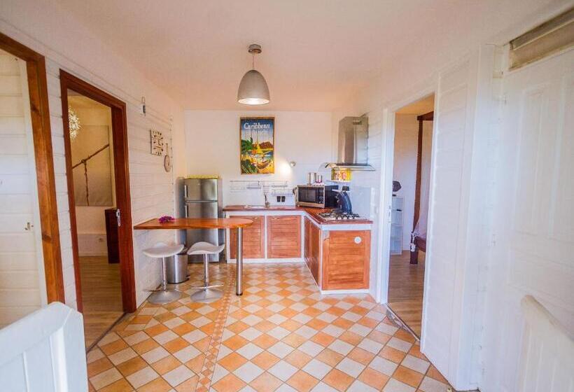 דירת חדר עם טרסה, Carre Royal