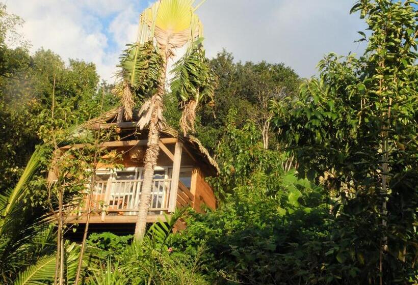 חדר סטנדרט עם מיטת קינג, Carre Royal