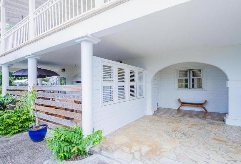 דירת חדר עם טרסה, Carre Royal