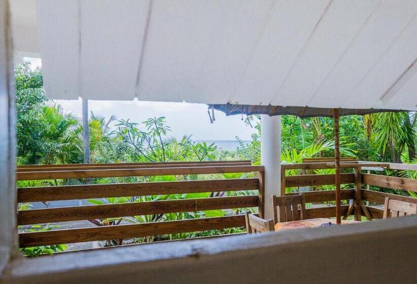 דירת חדר עם טרסה, Carre Royal