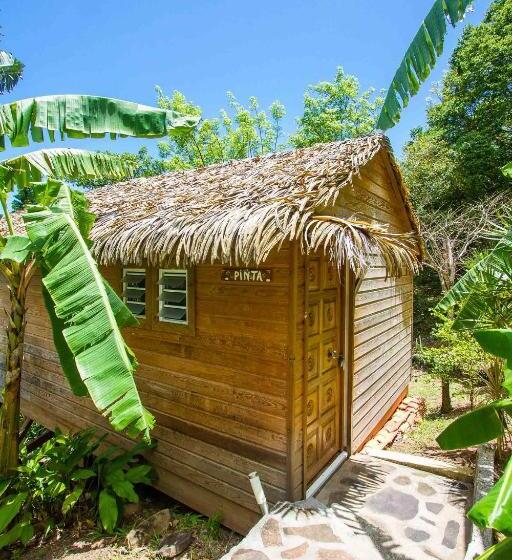 חדר סטנדרט עם מיטת קינג, Carre Royal