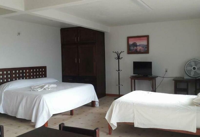 스탠다드 스튜디오 (테라스구비), Casa Ziga Centro