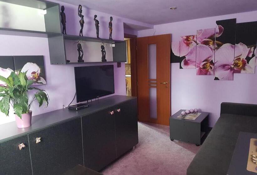 Апартаменты 1 Спальня, Apartment Alta