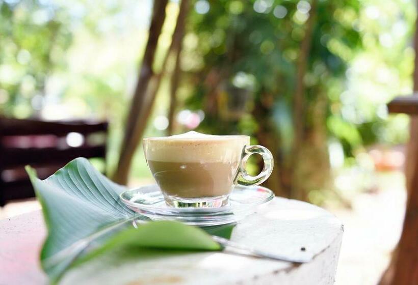 בית, 2 חדרי שינה, Green Pepper