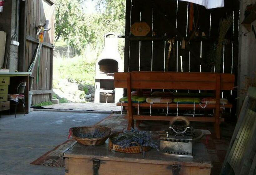 Апартаменты 1 Спальня Нижний Этаж, Guest House Privat Marika