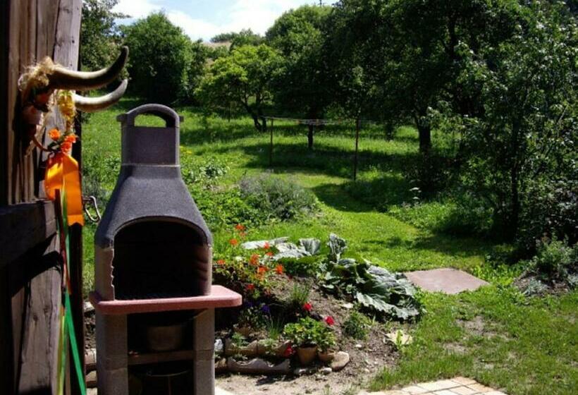 Апартаменты 1 Спальня Нижний Этаж, Guest House Privat Marika