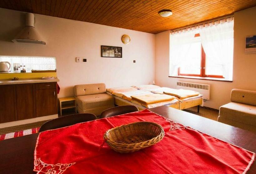 Апартаменты 1 Спальня Нижний Этаж, Guest House Privat Marika