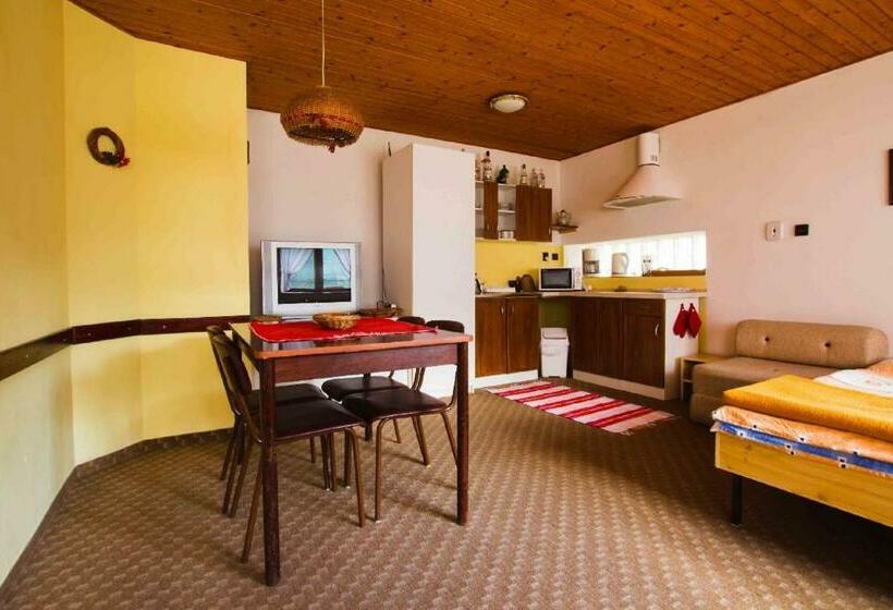 Апартаменты 1 Спальня Нижний Этаж, Guest House Privat Marika