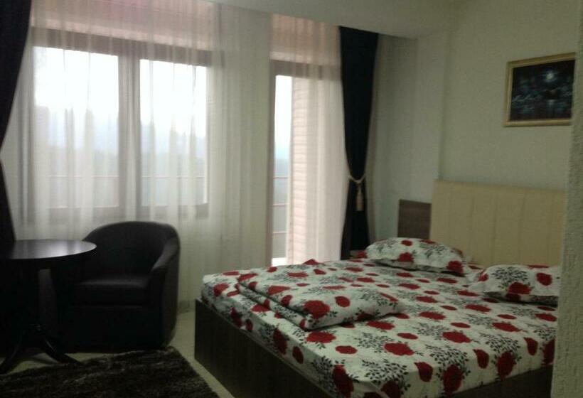 Номер Стандарт, Pensiunea Roka