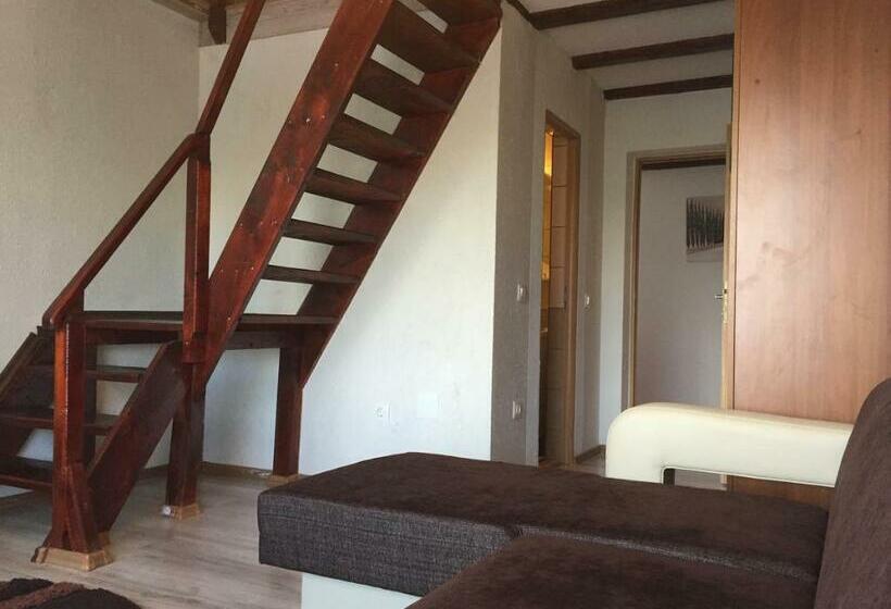 Люкс Дюплекс, Pensiunea Roka