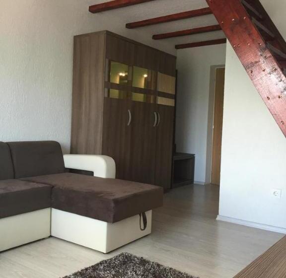 Люкс Дюплекс, Pensiunea Roka