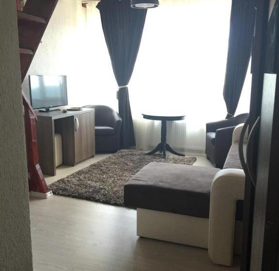 Дом 1 Спальня, Pensiunea Roka