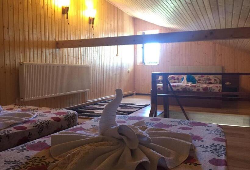 Дом 1 Спальня, Pensiunea Roka